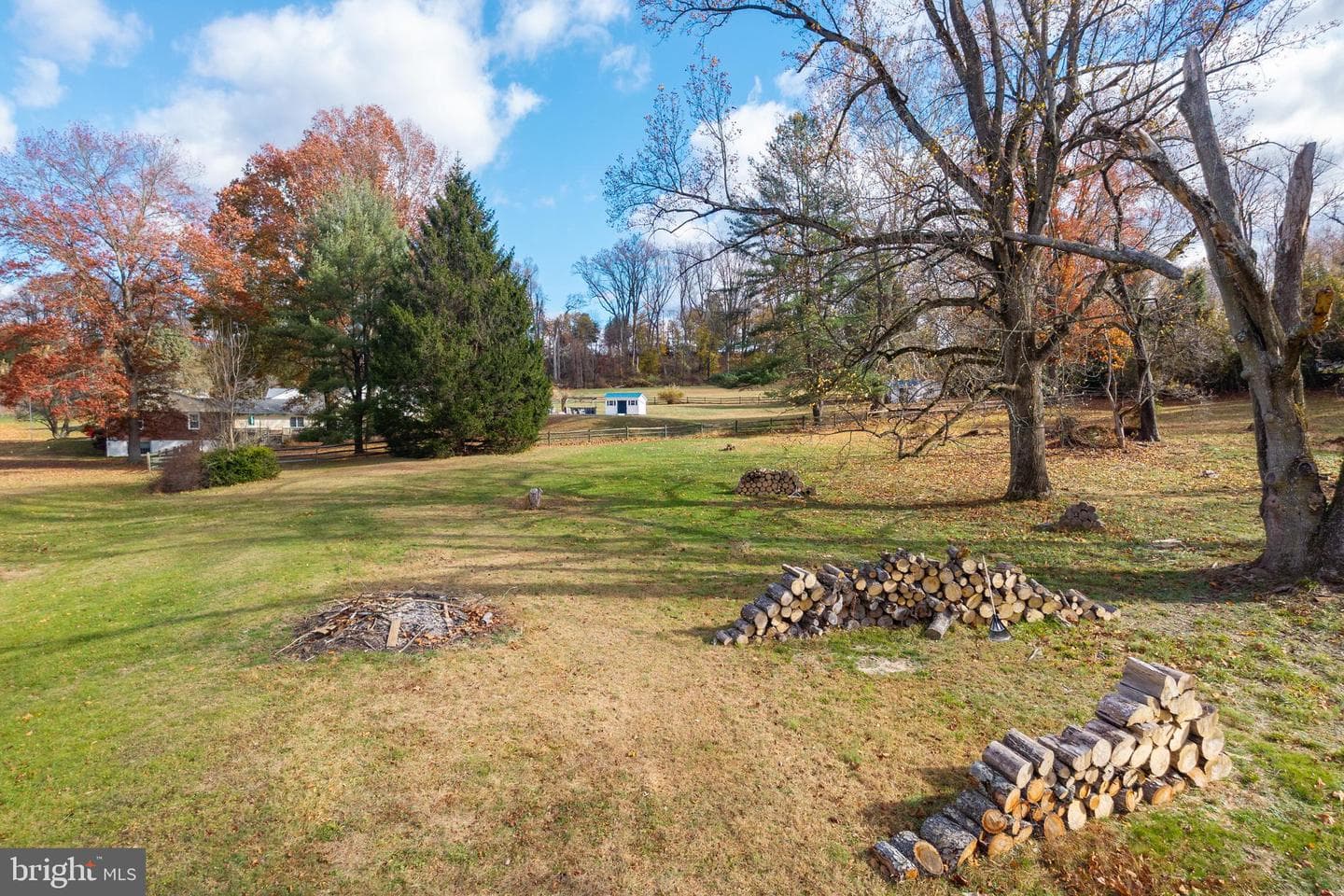 11 Ivy Lane photo 22
