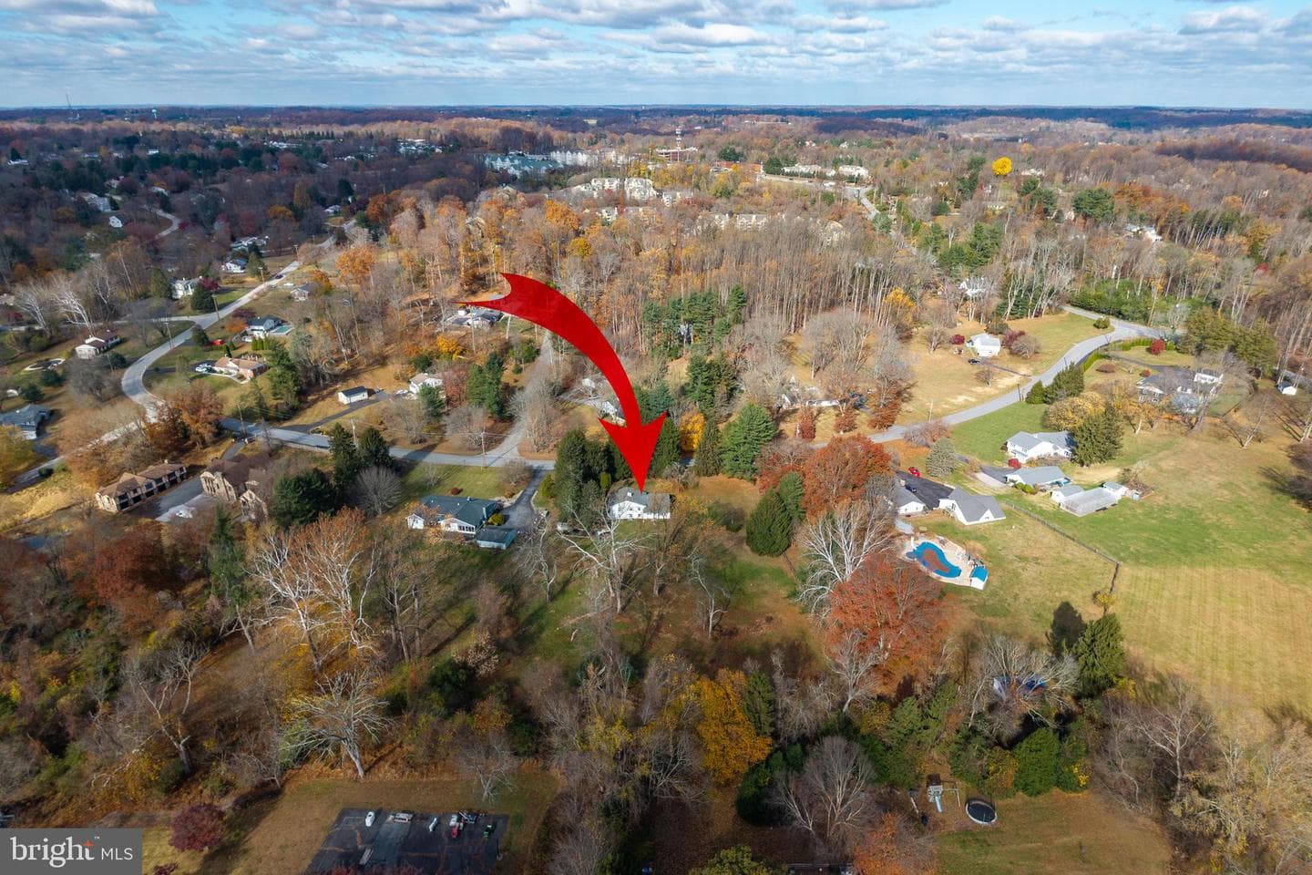 11 Ivy Lane photo 34