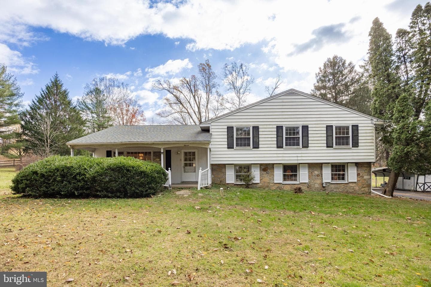 11 Ivy Lane photo 36