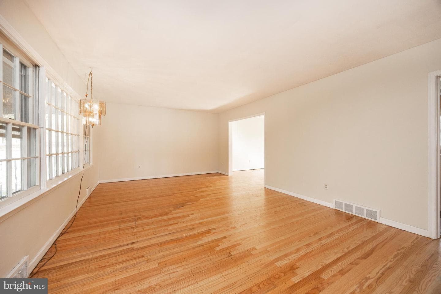 11 Ivy Lane photo 4