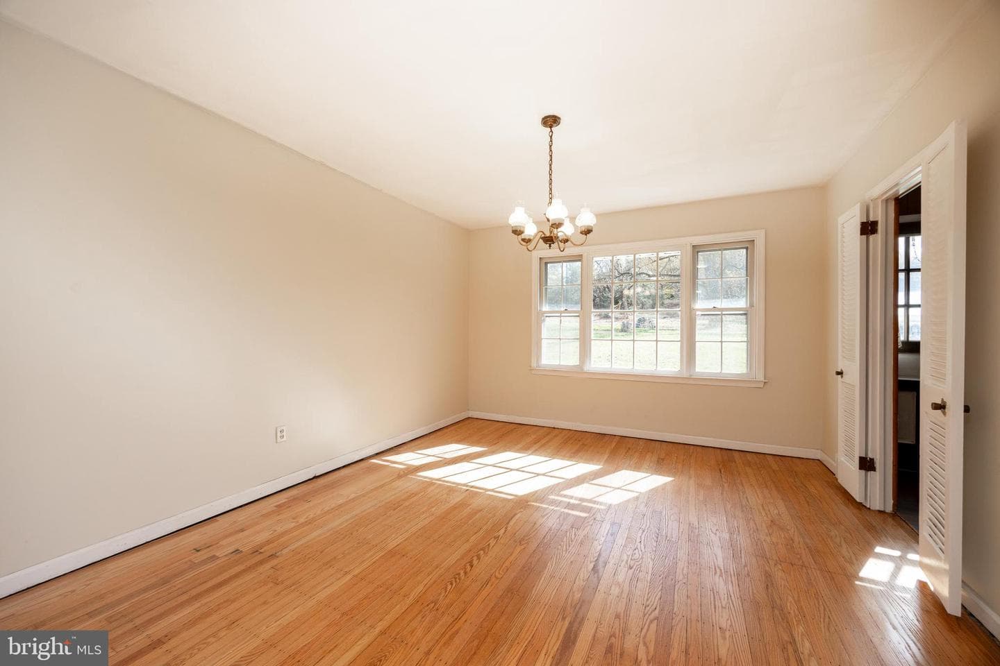 11 Ivy Lane photo 5