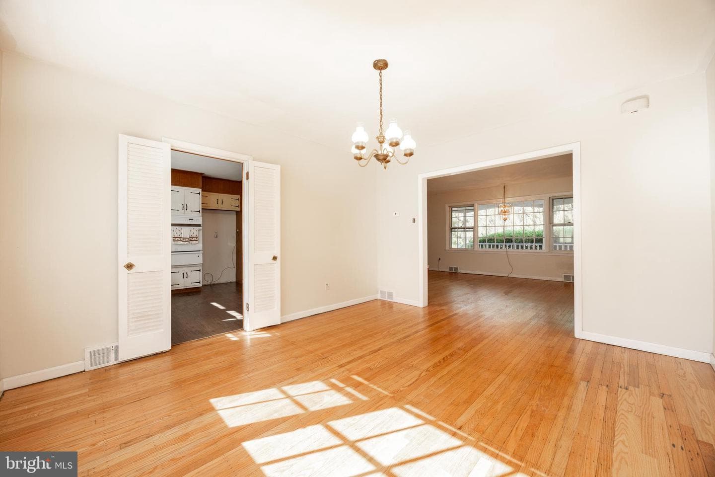 11 Ivy Lane photo 6