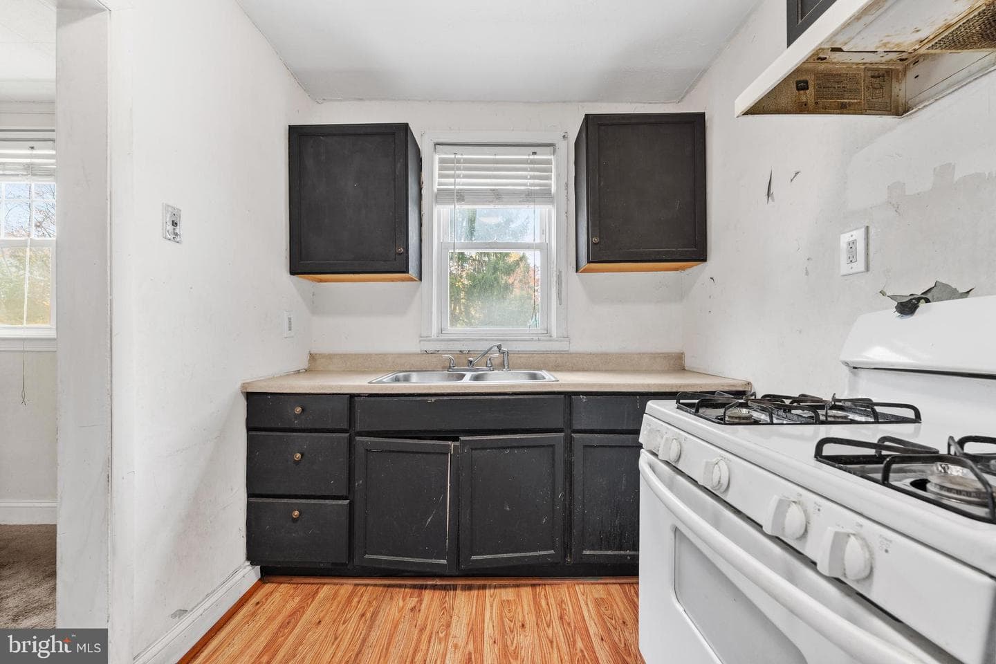 921 Pitman Avenue photo 8