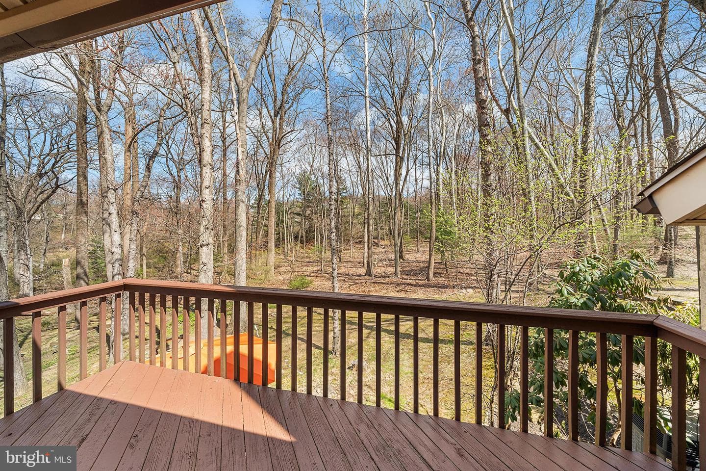 512 Williamson Circle photo 20