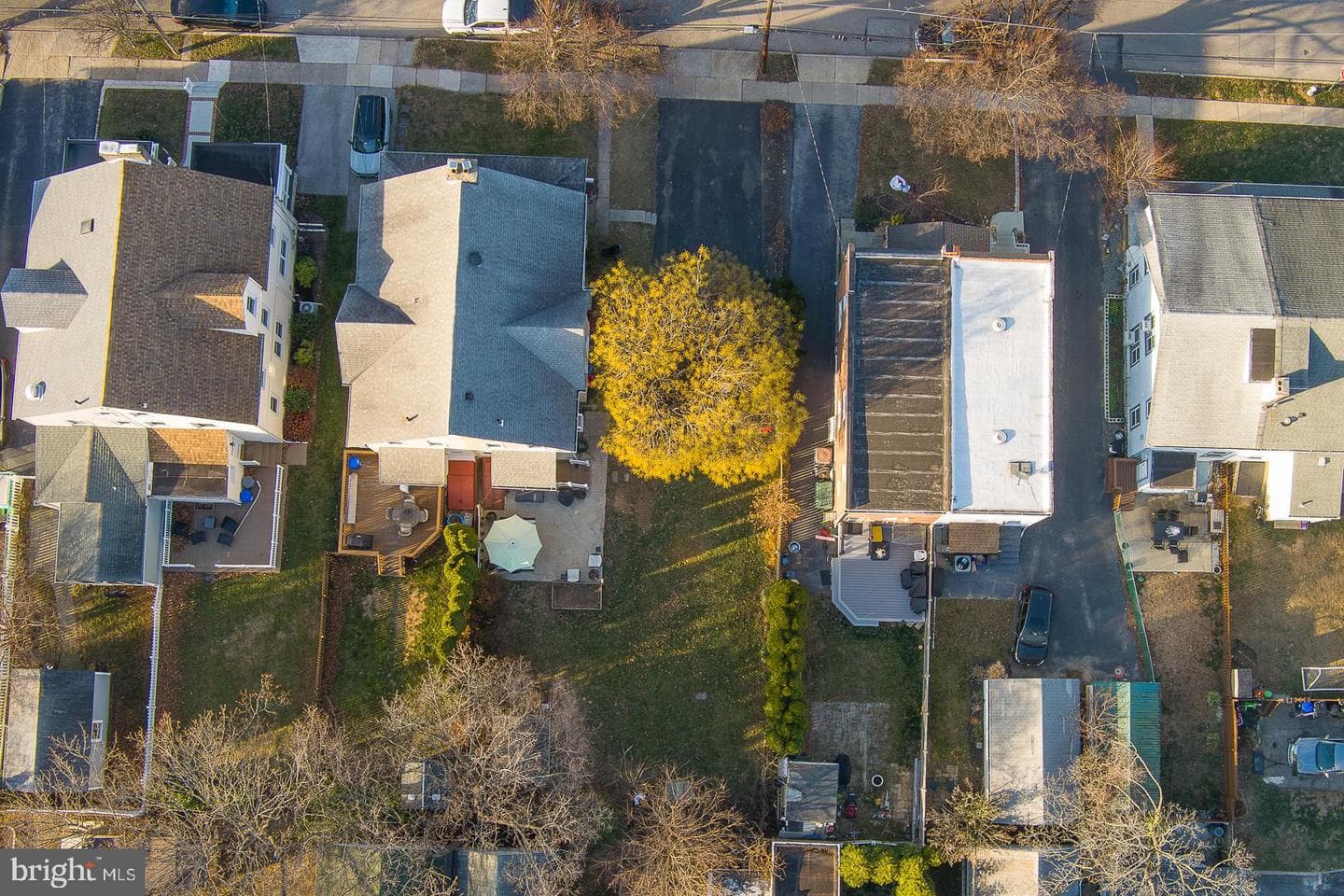 139 Campbell Avenue photo 40