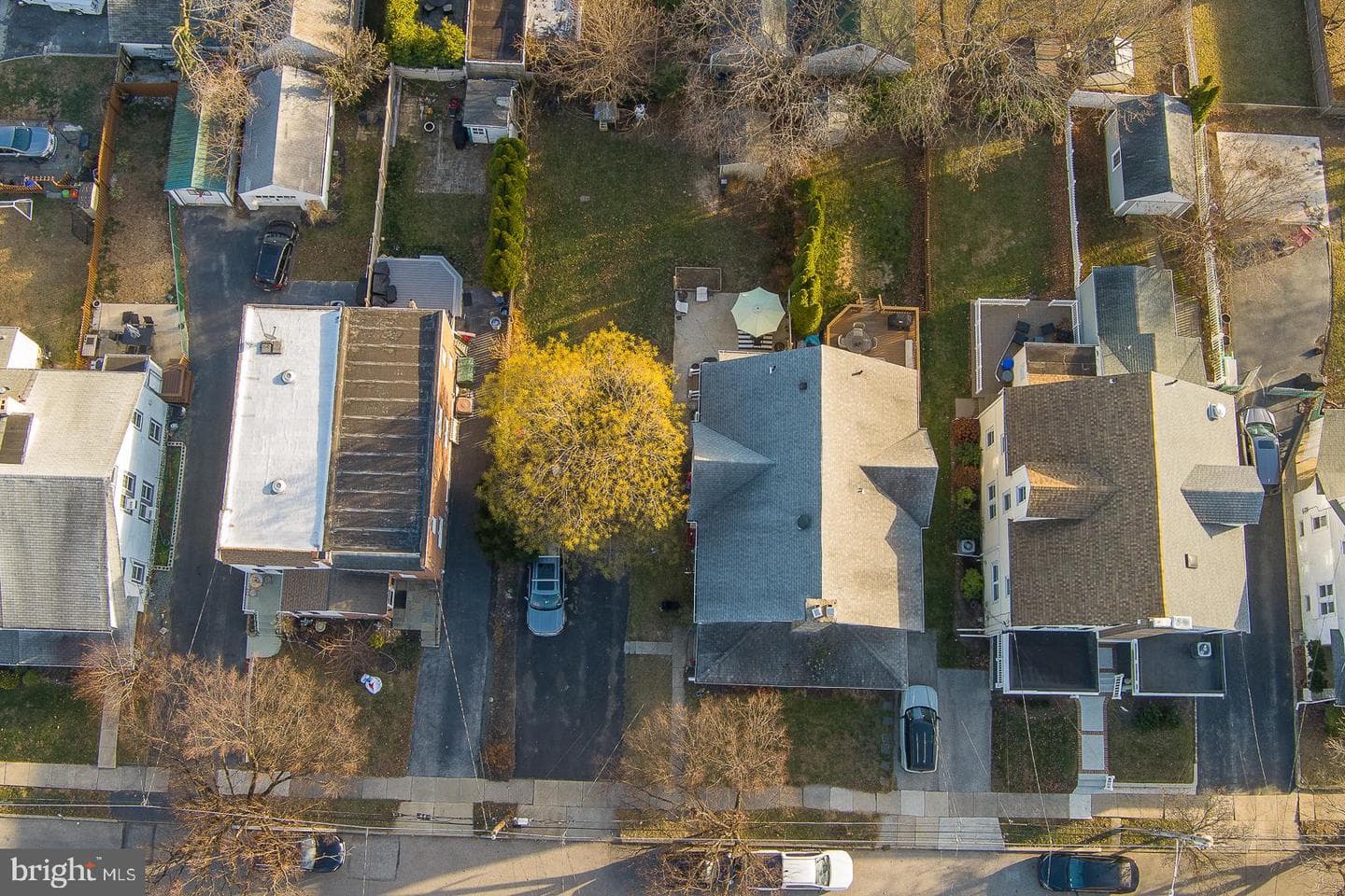 139 Campbell Avenue photo 50