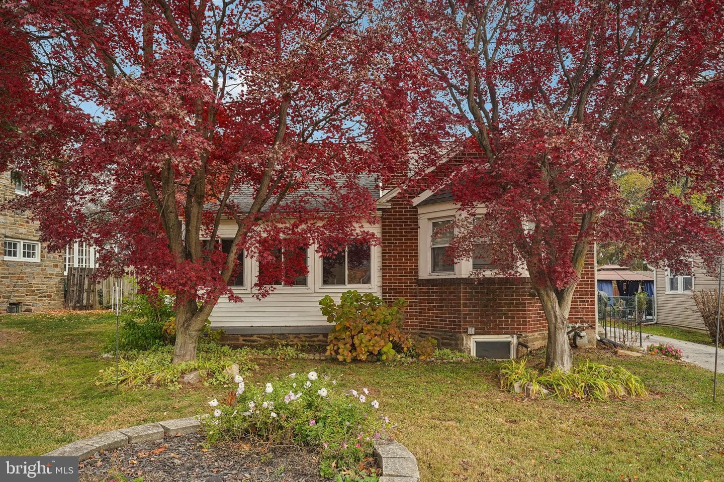 203 S Oak Avenue photo 2