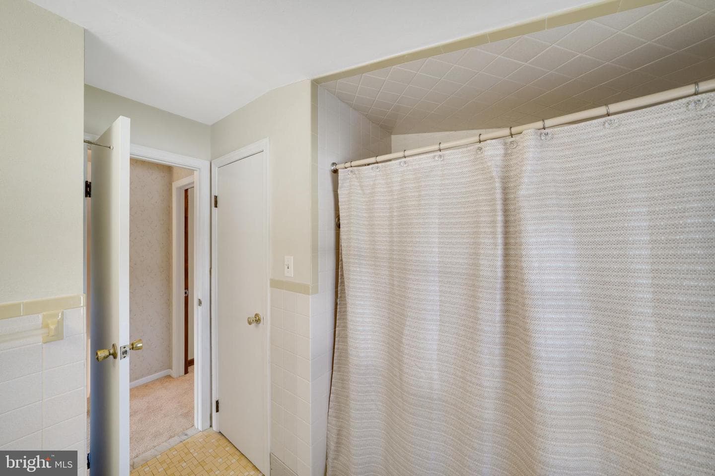 115 Newby Drive photo 18