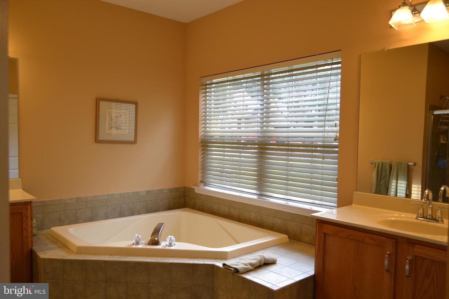 40 Brentwood Road photo 36