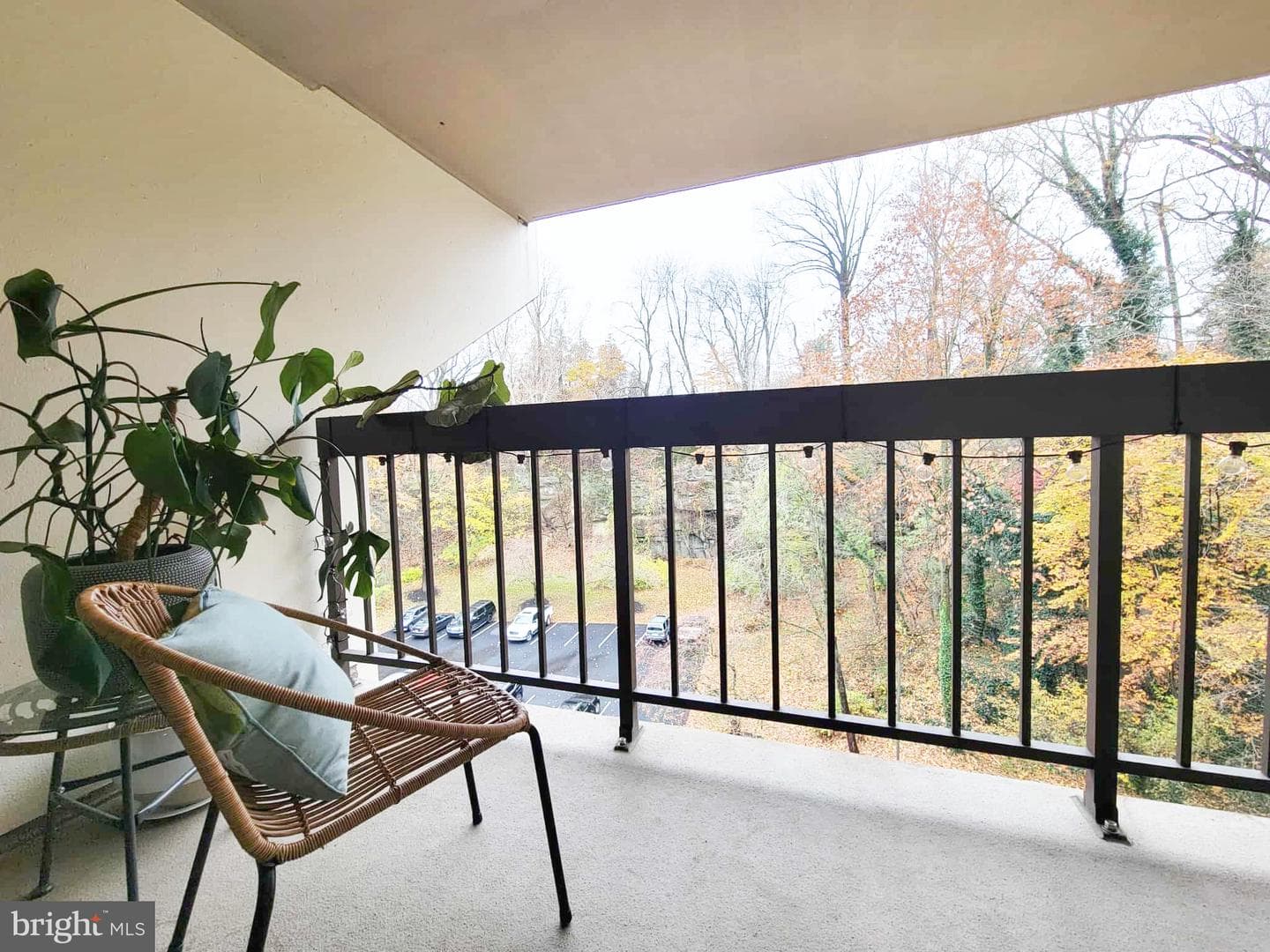 800 Avondale Road #7n photo 7