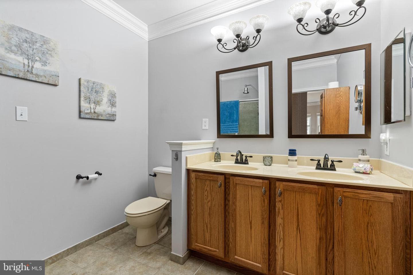 113 Dresner Circle photo 22