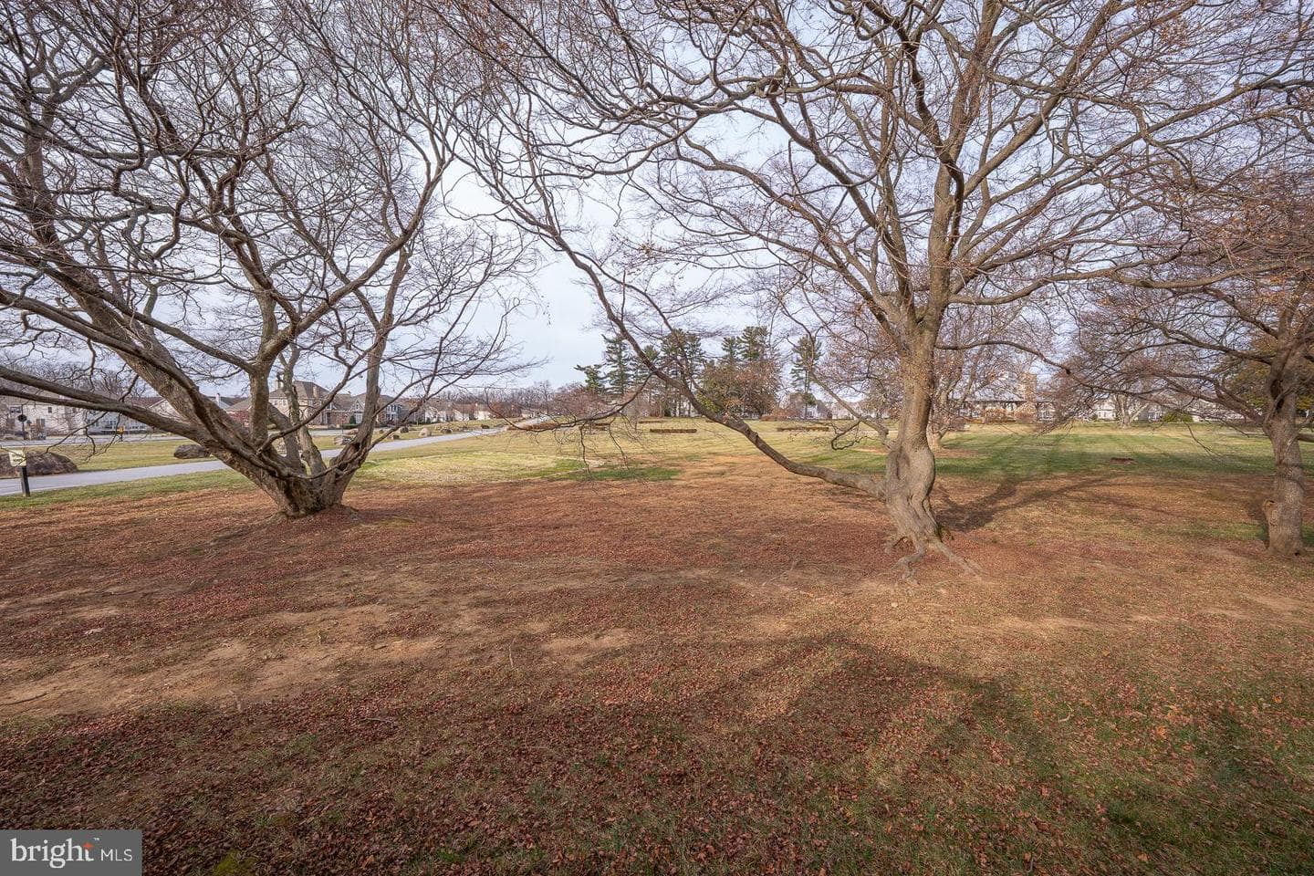 305 Old Liseter Road photo 34