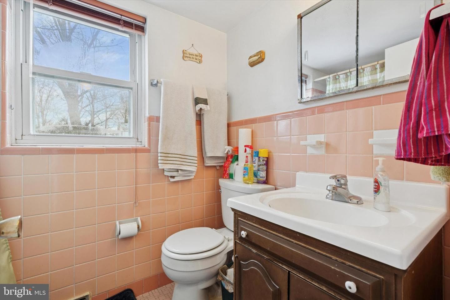 149 Clemson Road photo 20