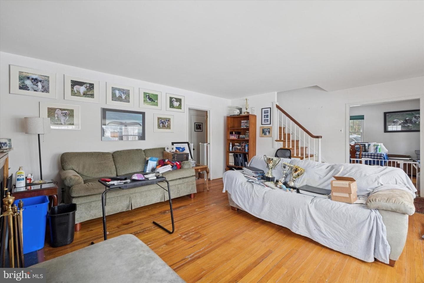 149 Clemson Road photo 6
