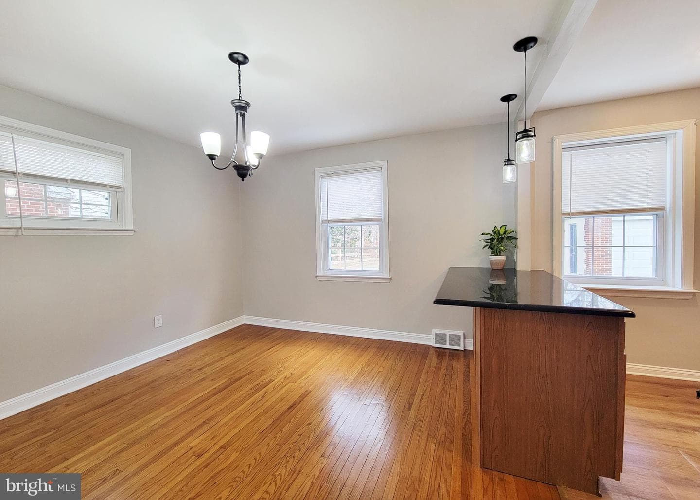 409 Perry Street Street photo 39