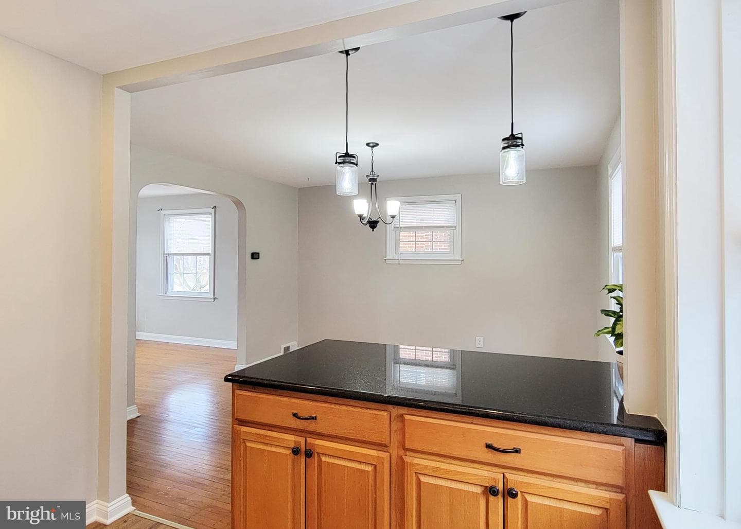 409 Perry Street Street photo 44
