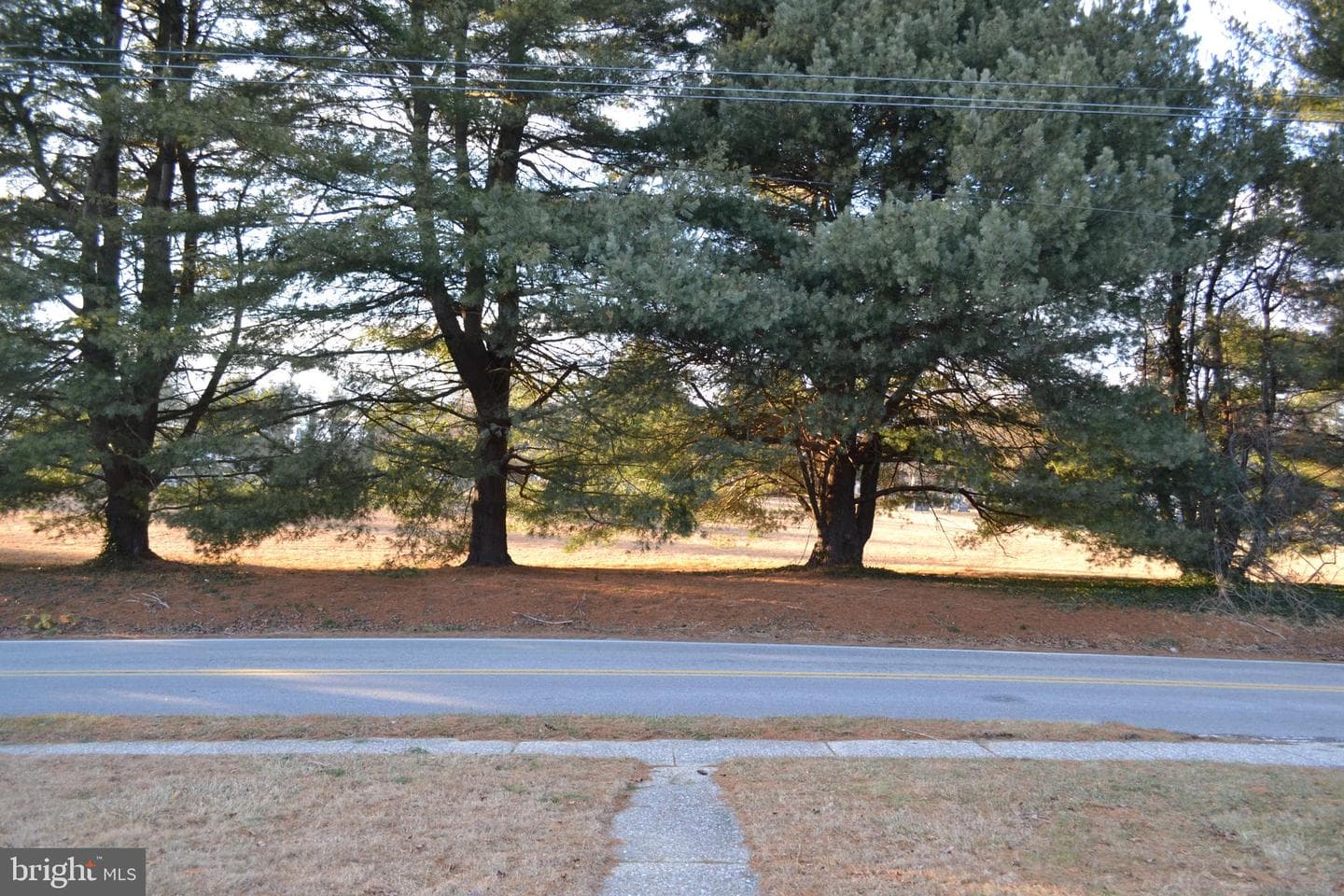 49 Kirk Lane photo 48