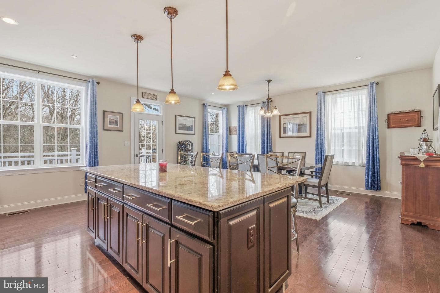 309 Corvus Circle photo 11