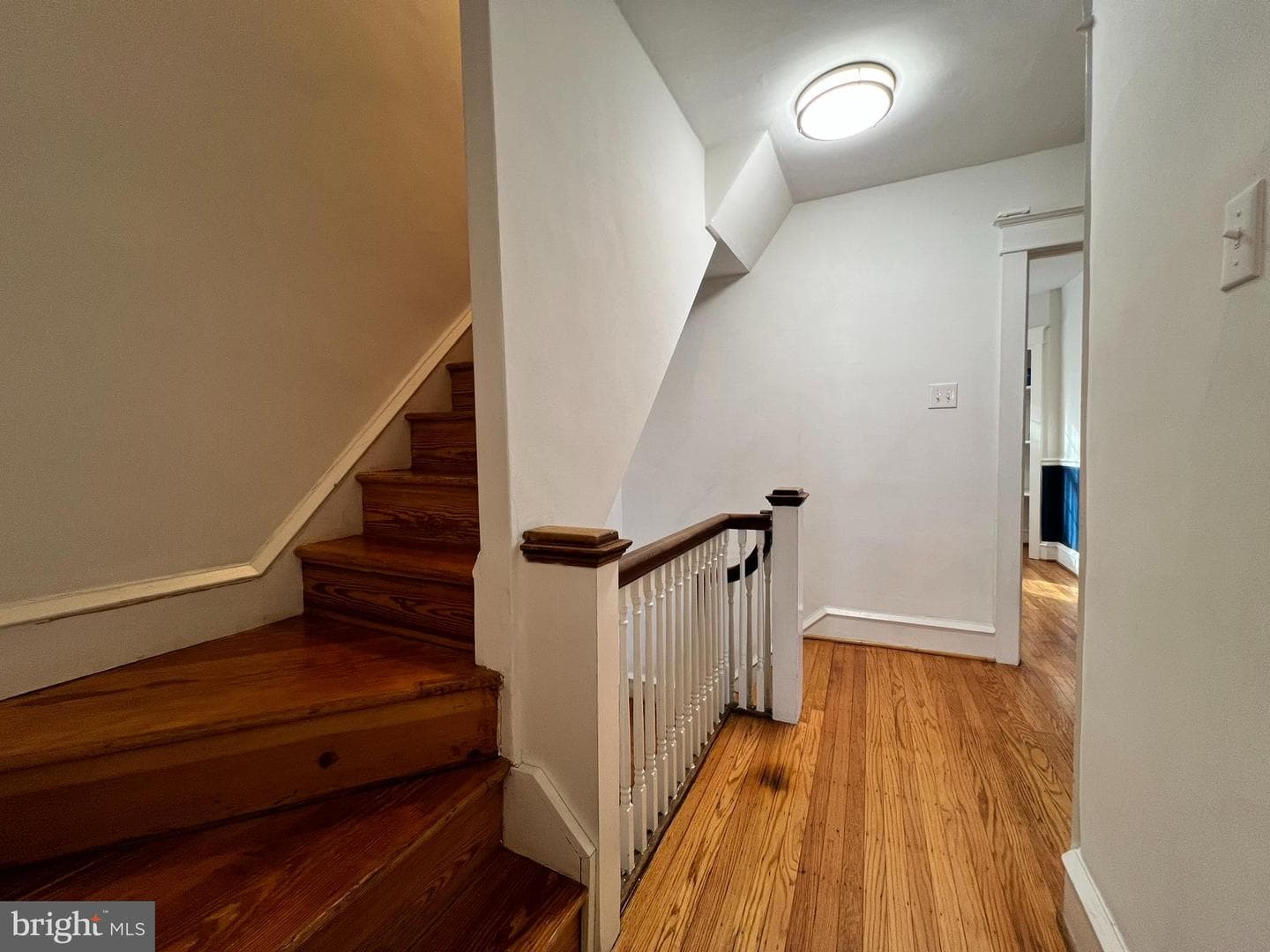26 Ardmore Avenue photo 23