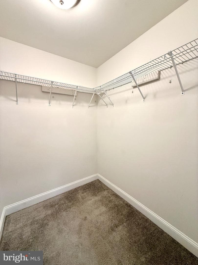 48 Hunters Lane photo 37