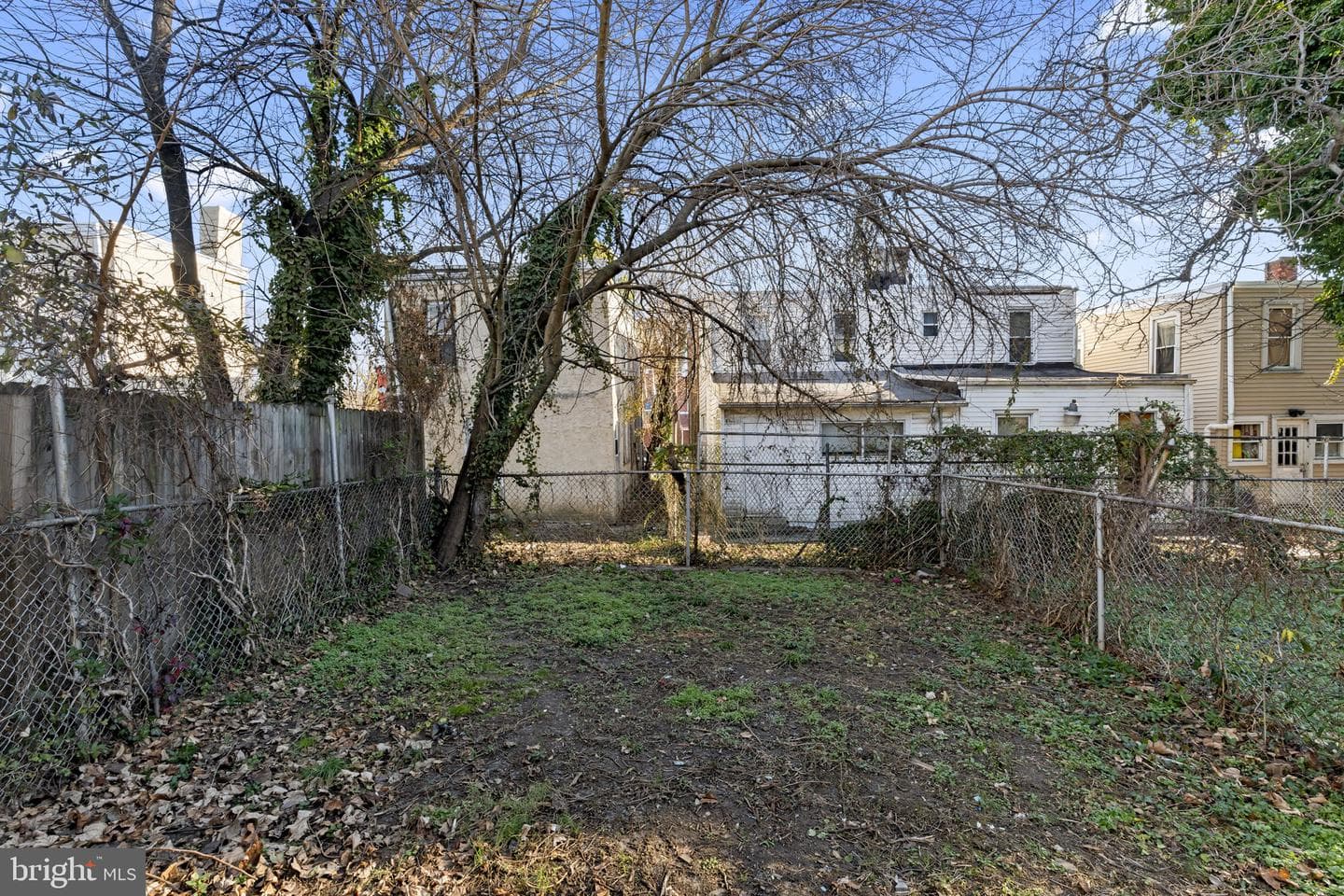 1147 Potter Street photo 12