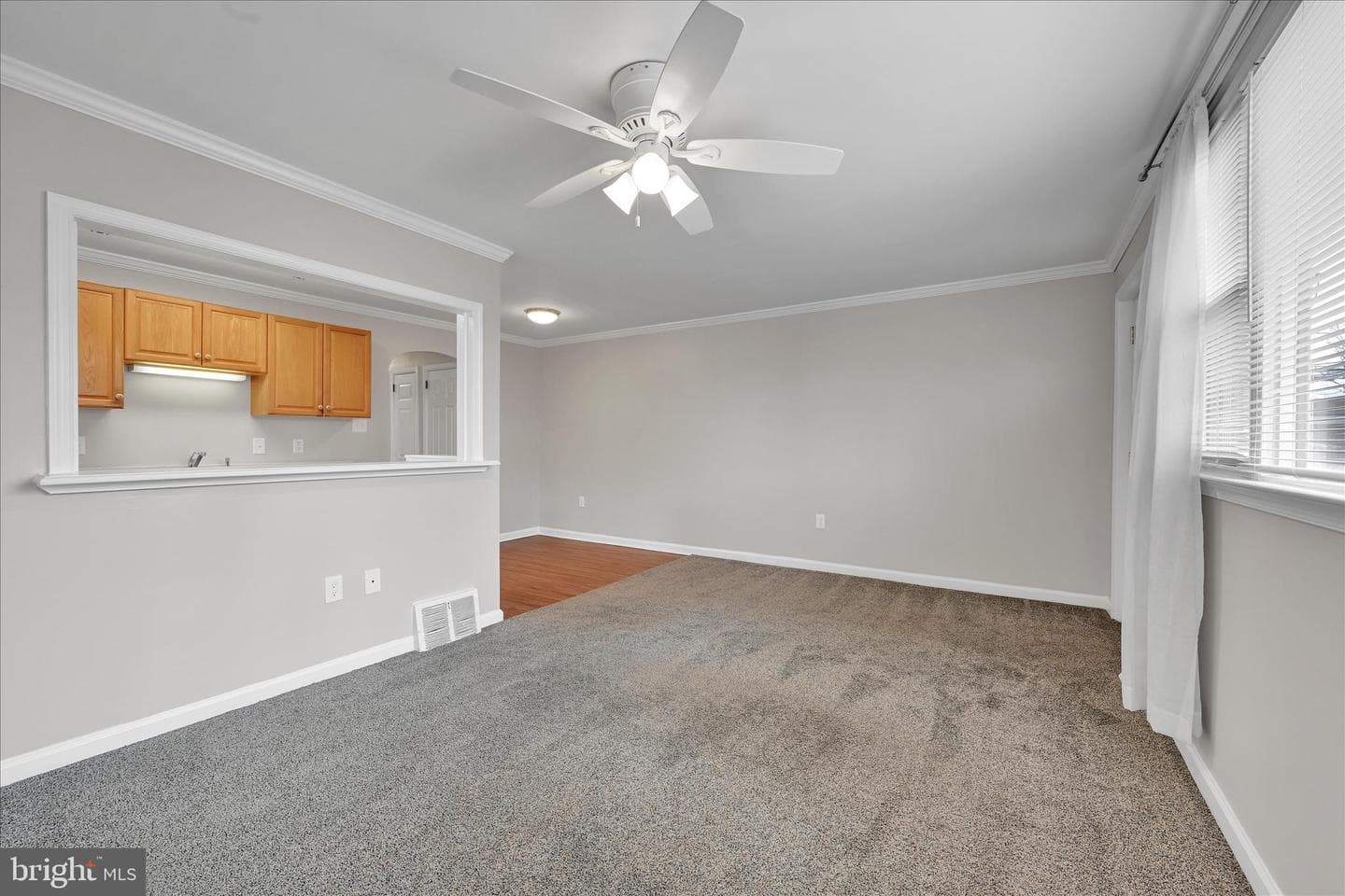 204 Ridley Avenue photo 7