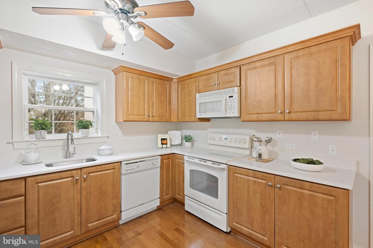 244 Baltimore Pike #101b photo 10