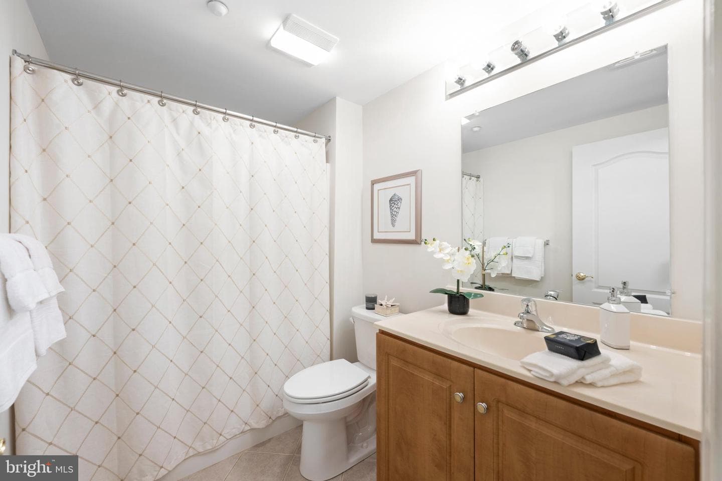 244 Baltimore Pike #101b photo 11