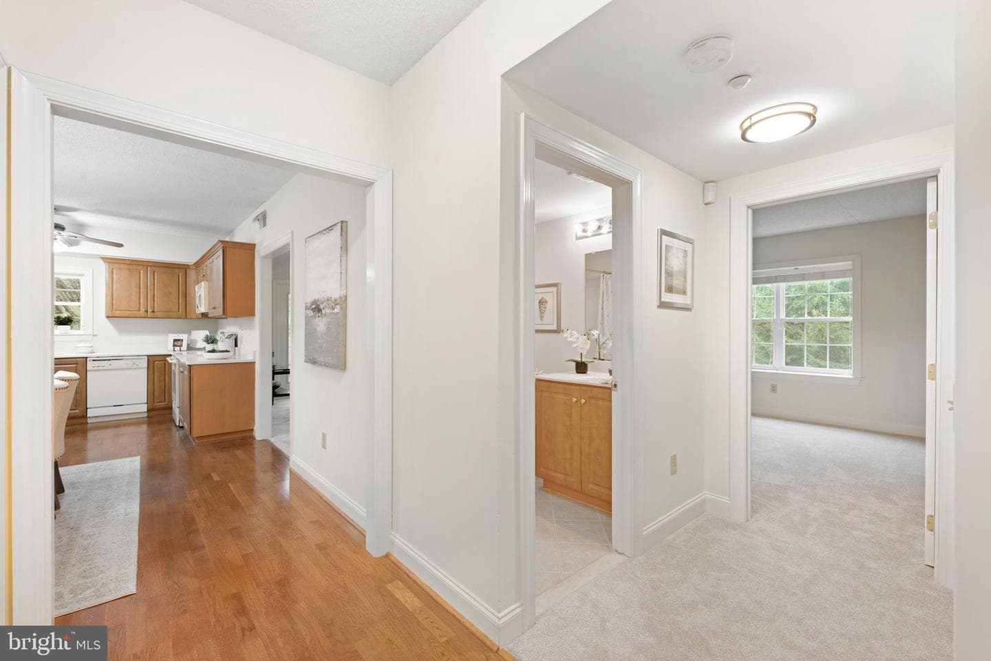 244 Baltimore Pike #101b photo 3
