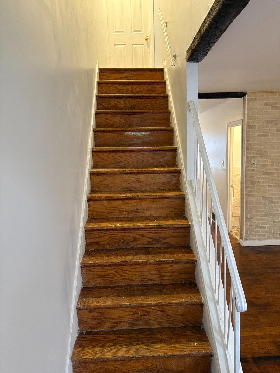 3419 Carter Lane photo 14