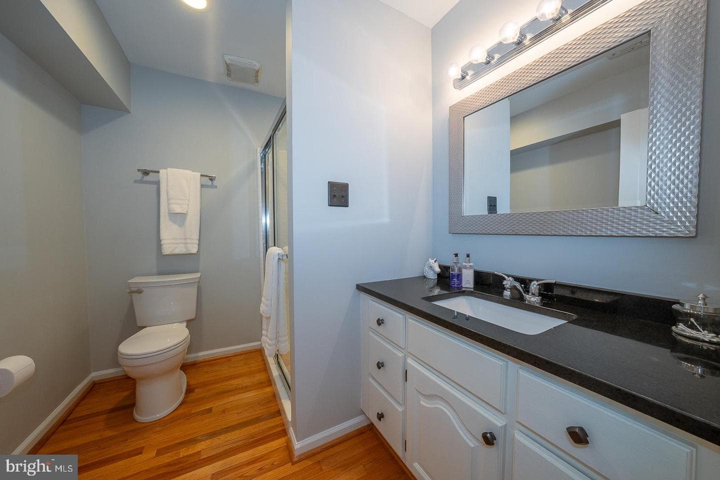 127 Springton Mews Circle photo 27
