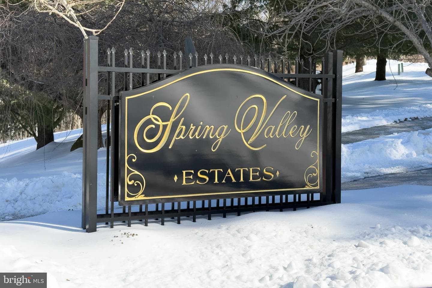 222 Spring Valley Way photo 42