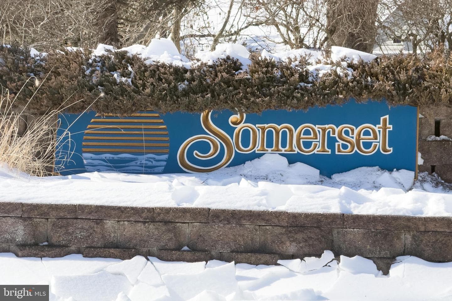 4423 Somerset photo 36