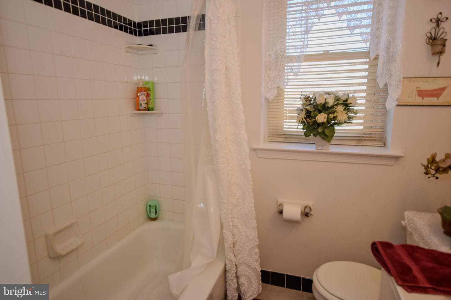 853 Gainsboro Road photo 32