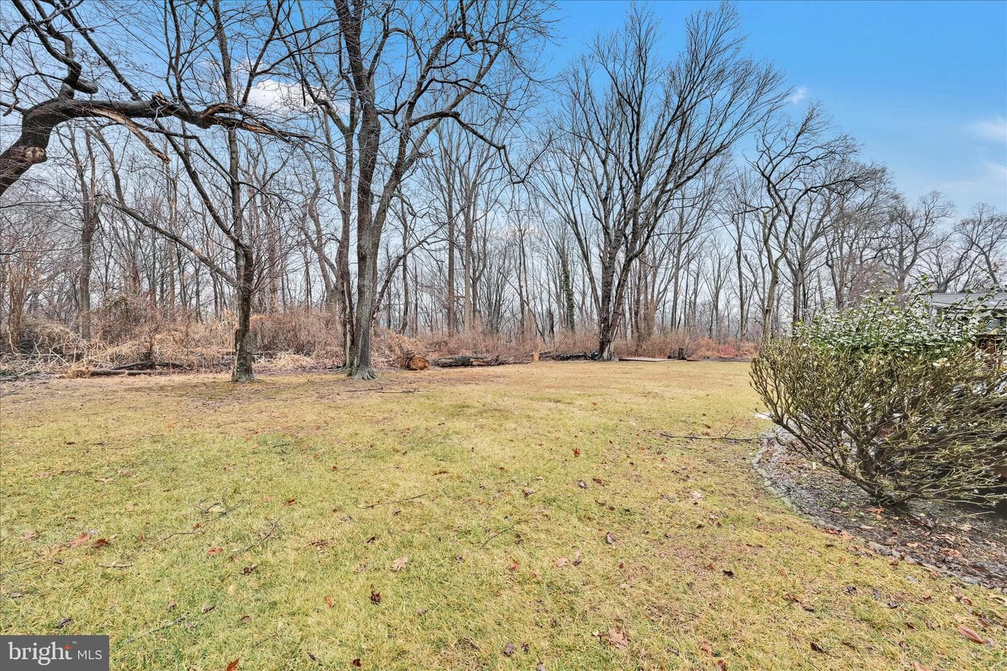 213 Beatrice Lane photo 37