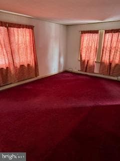 493 Wheatsheaf Road photo 10