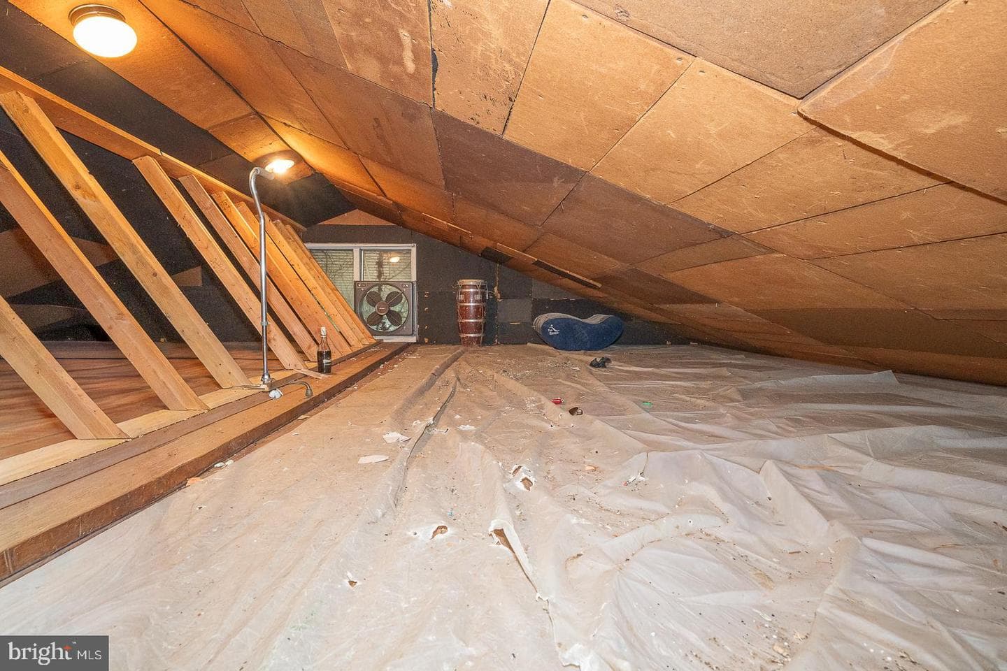 65 Eldon photo 21