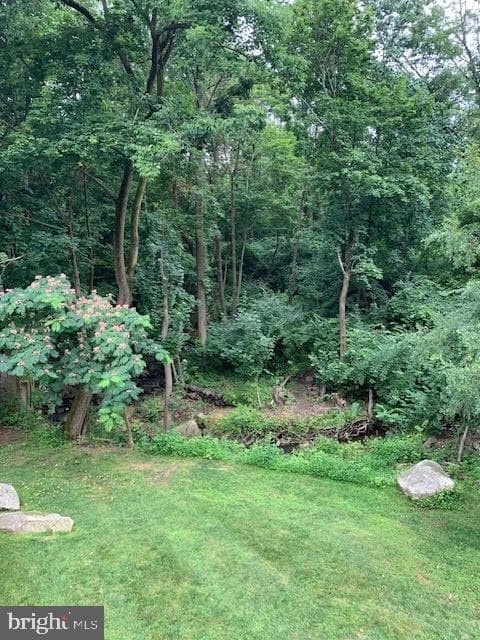 218 Northbrook Drive photo 21