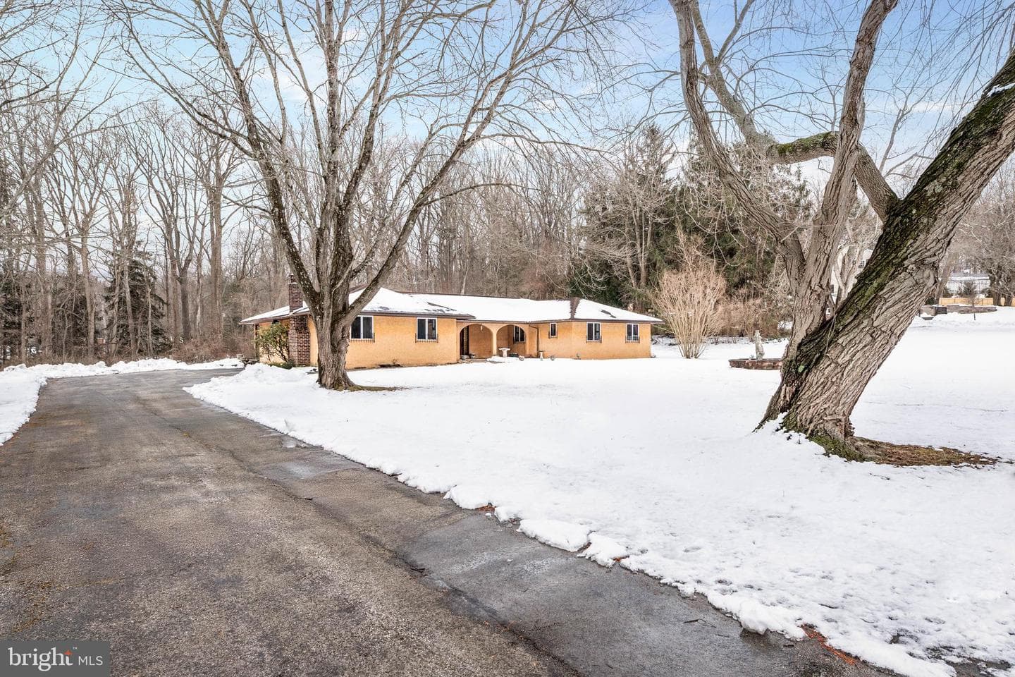 303 Crum Creek Lane photo 2