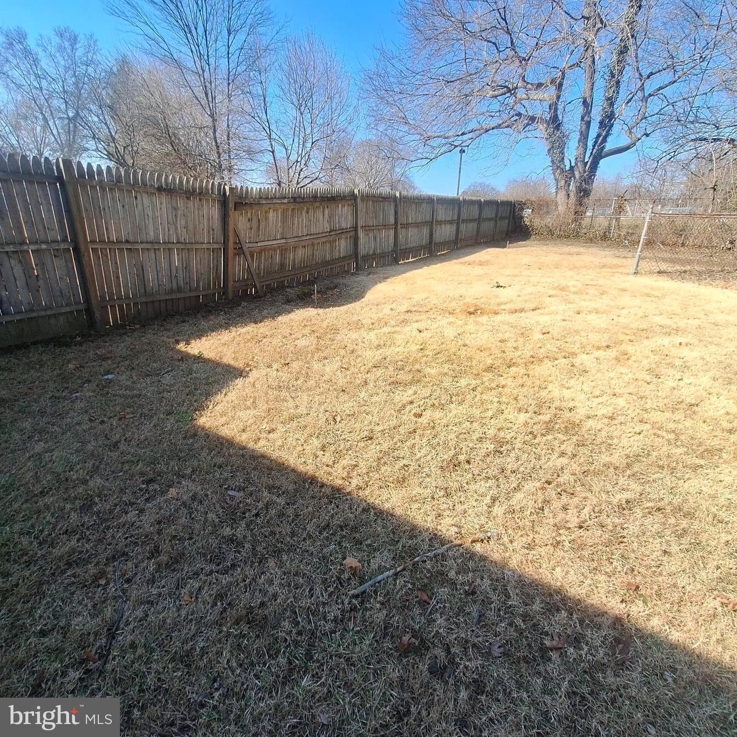 403 Trenton Court photo 10