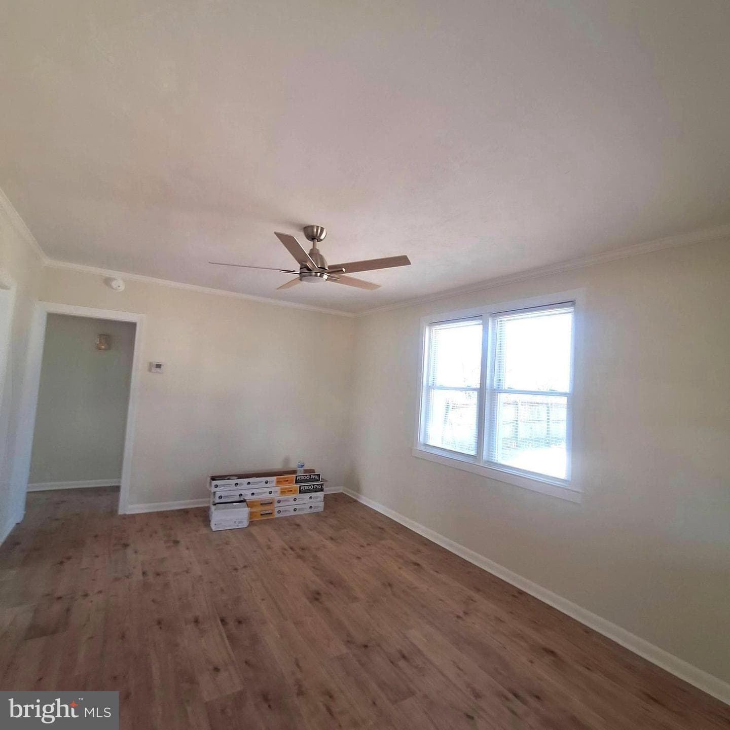 403 Trenton Court photo 6