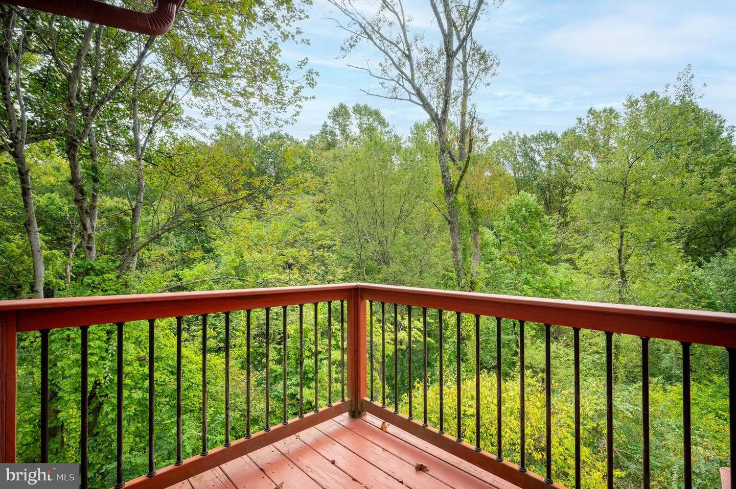 111 Harvey Lane photo 32