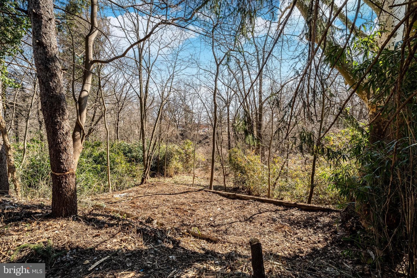 700 E Ridley Avenue photo 43