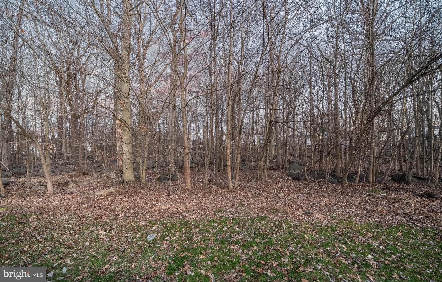 107 Luzak Street photo 62