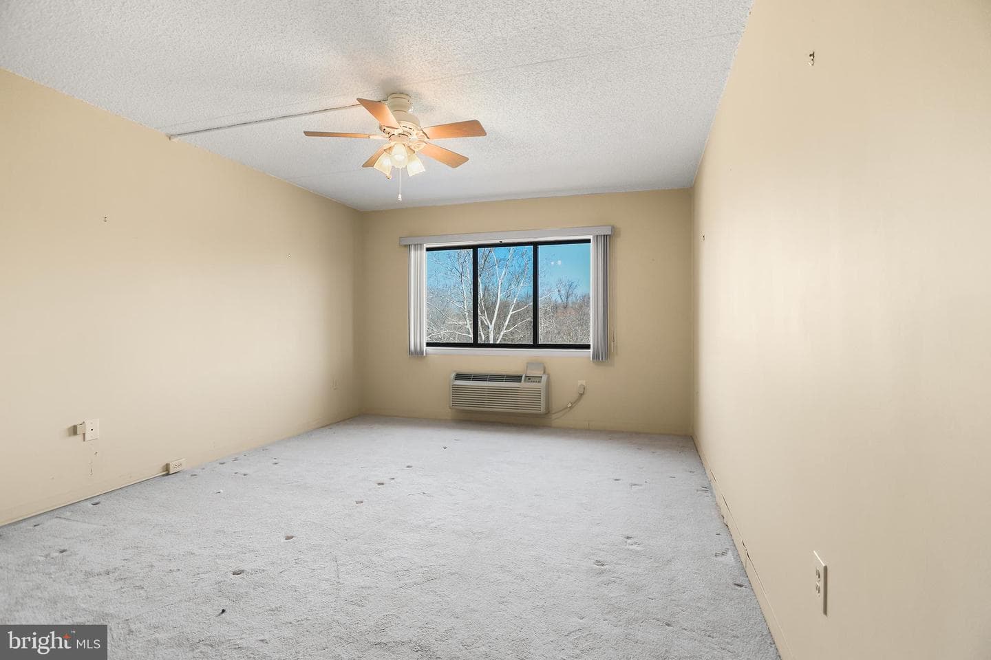 800 Avondale #6j photo 15