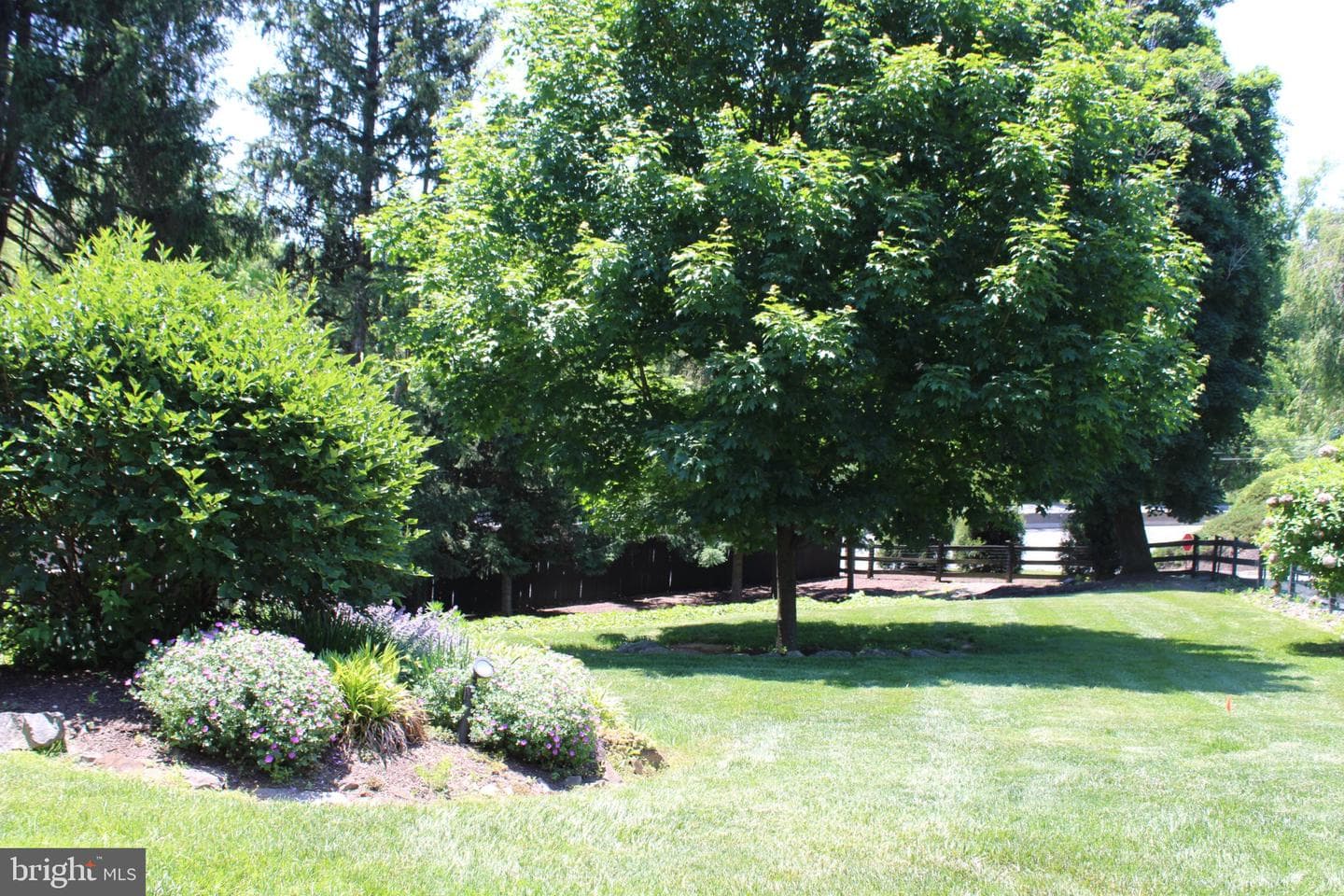 547 Baltimore Pike photo 110