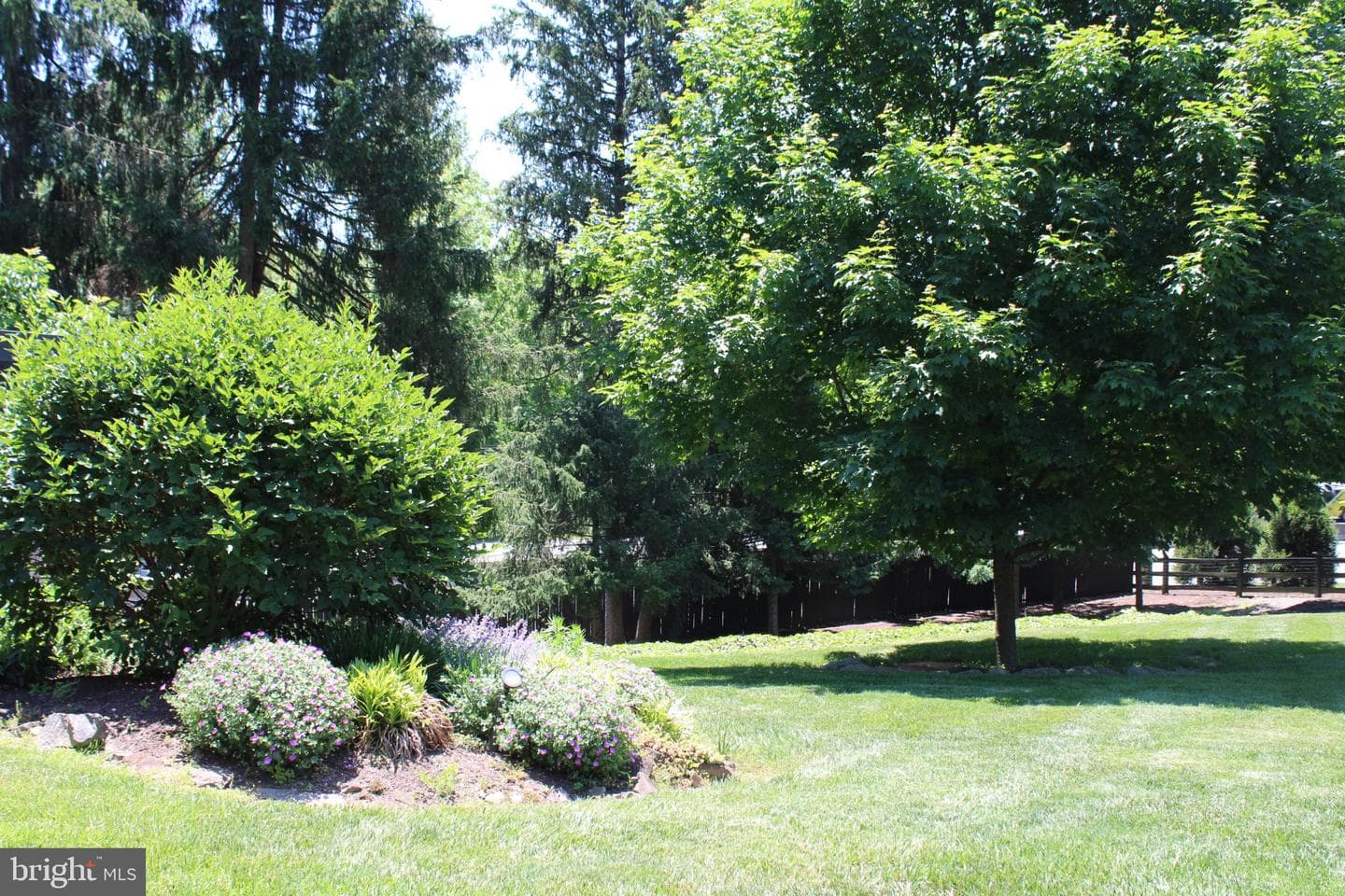 547 Baltimore Pike photo 111