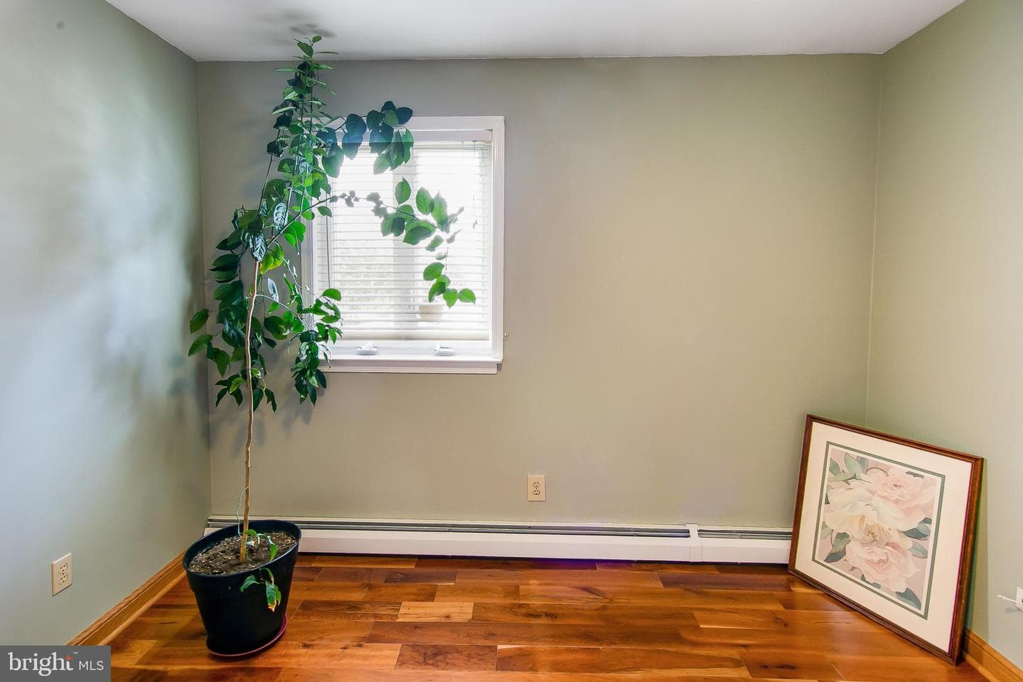 134 Columbus Avenue photo 37