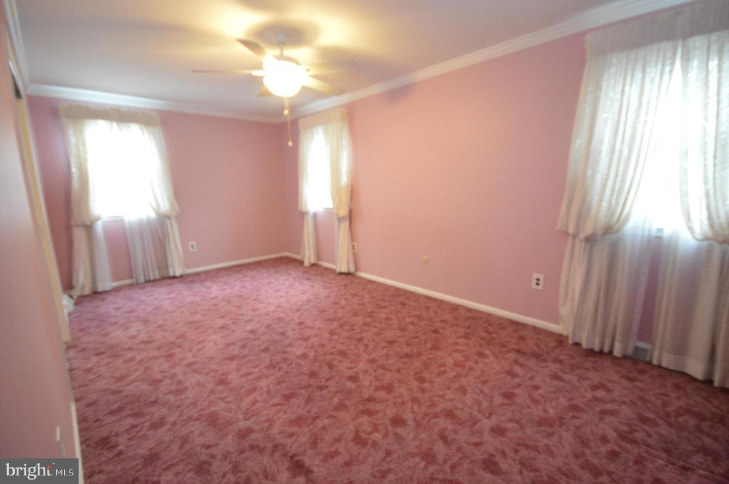 417 Tasker Street photo 20