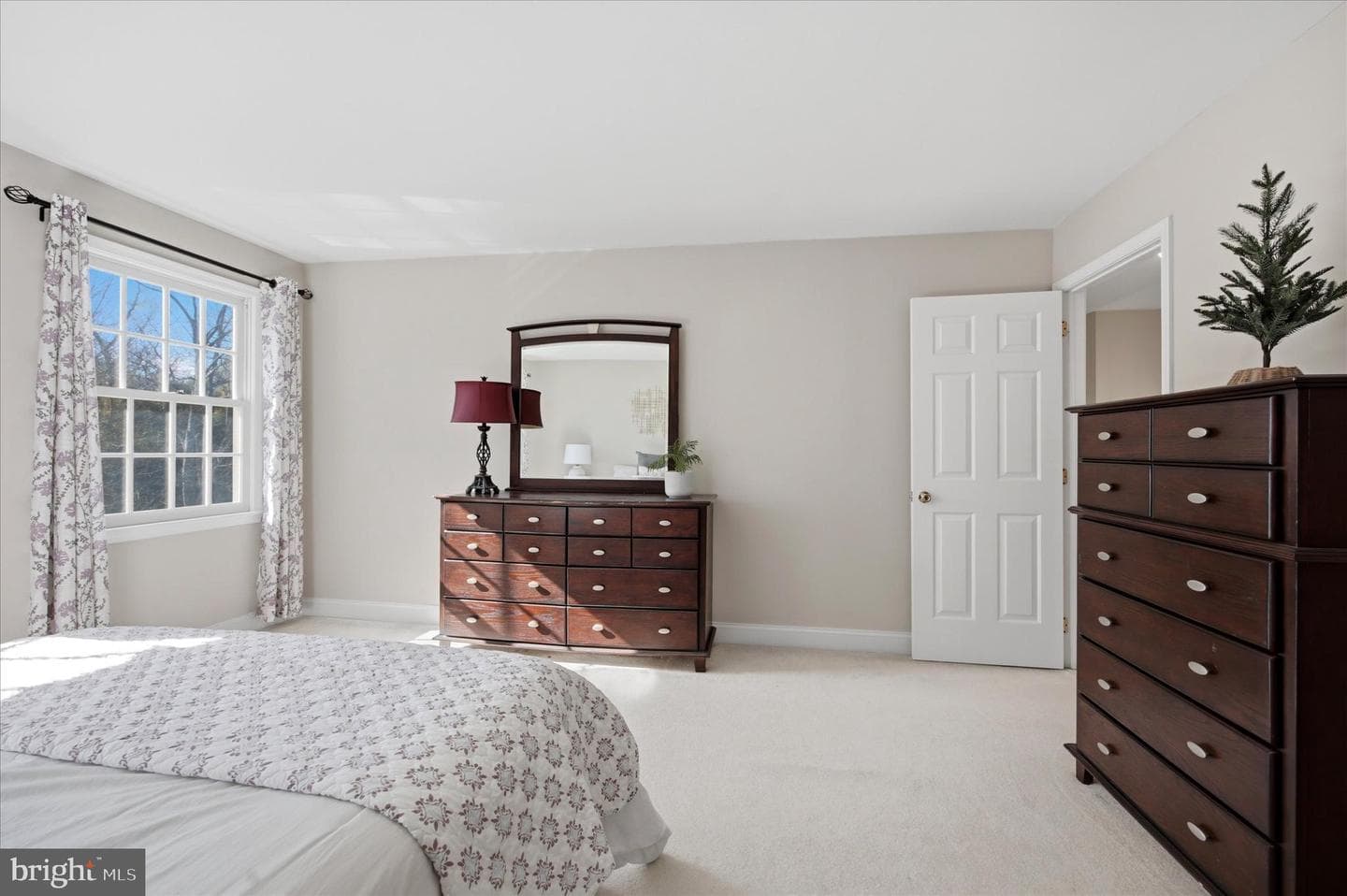 50 Allyssa Drive photo 24